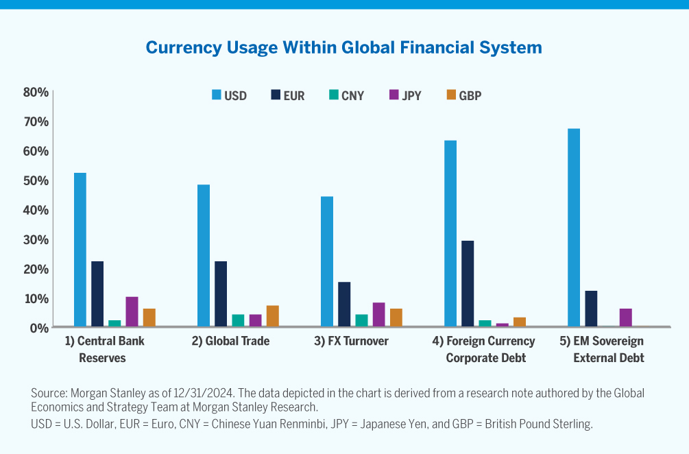 Chart showing currency usage within global financial system