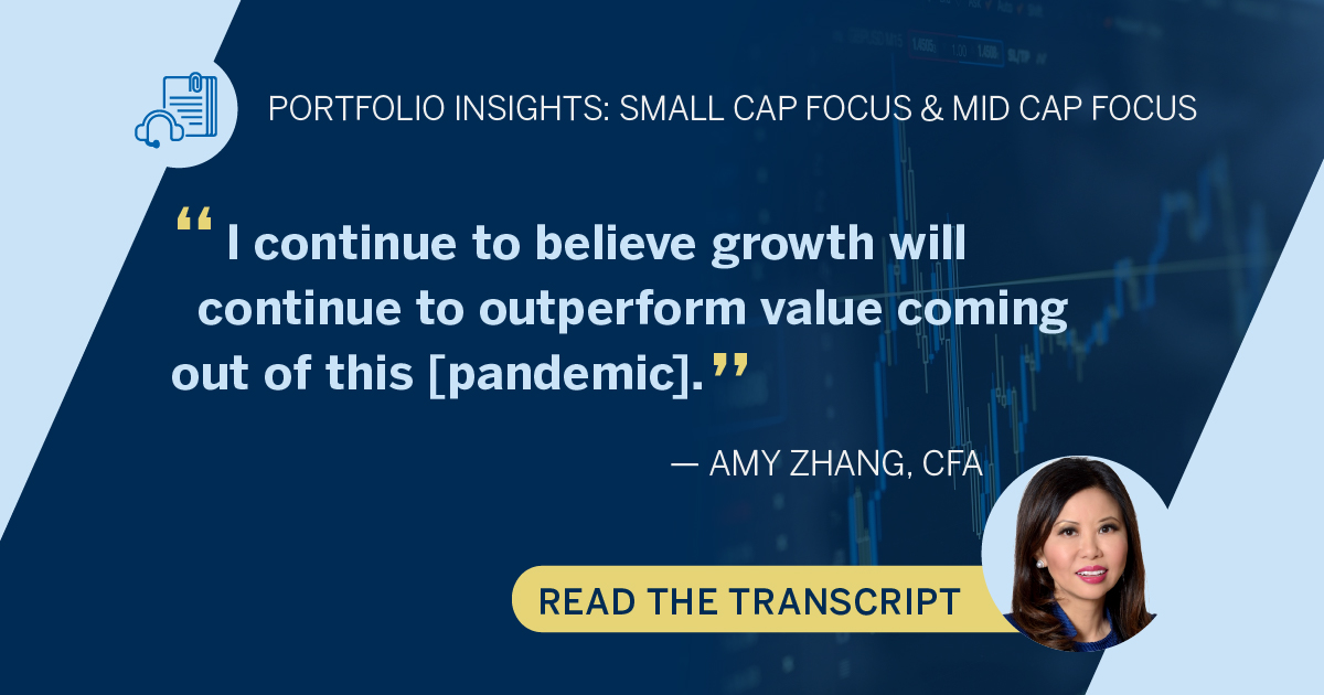 Portfolio Insights Small Cap Focus & Mid Cap Focus