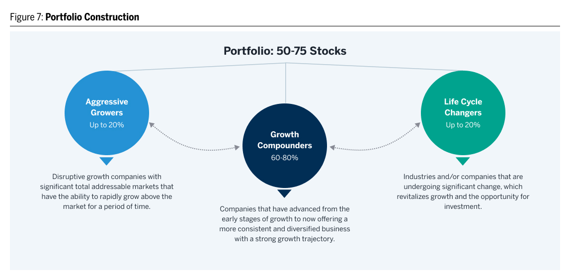 Portfolio Construction Aggressive Growers, Growth Compounders and Life Cycle Changers
