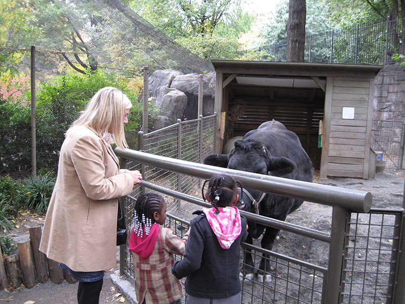 a women and two children feeding animals