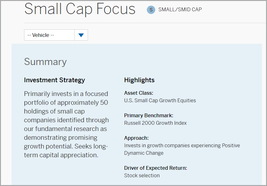 Small Cap Focus Product Page Thumbnail